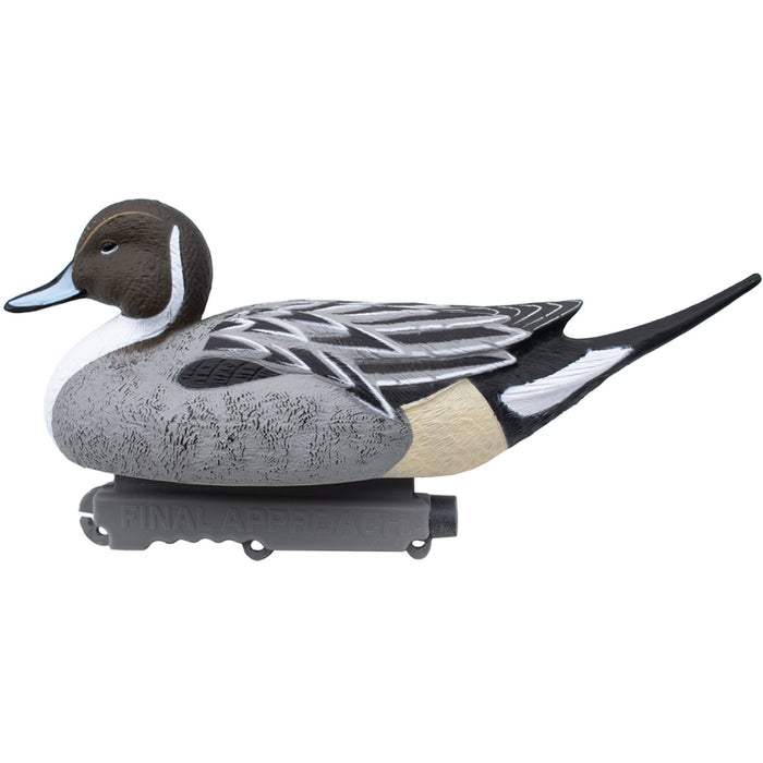 Last Pass Floating Pintail, 6 Pack