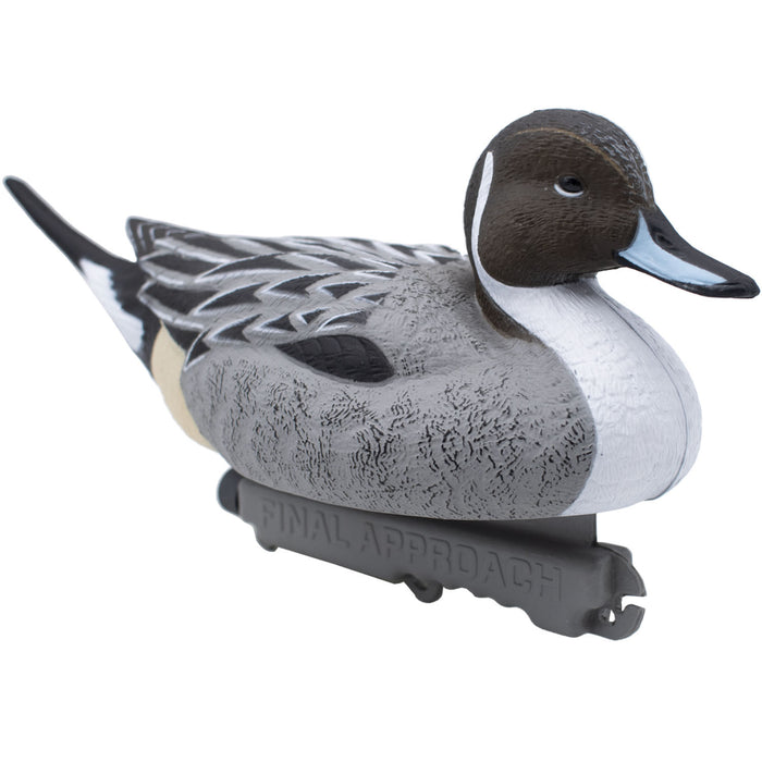Last Pass Floating Pintail, 6 Pack