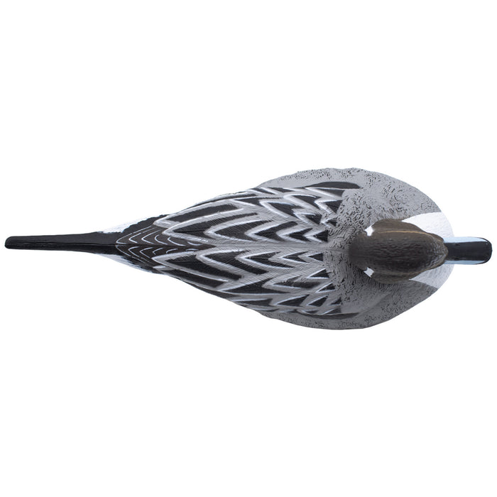 Last Pass Floating Pintail, 6 Pack