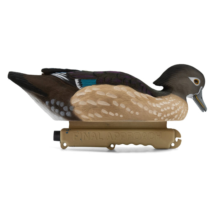 Live Fully Flocked Wood Ducks, 6 Pack