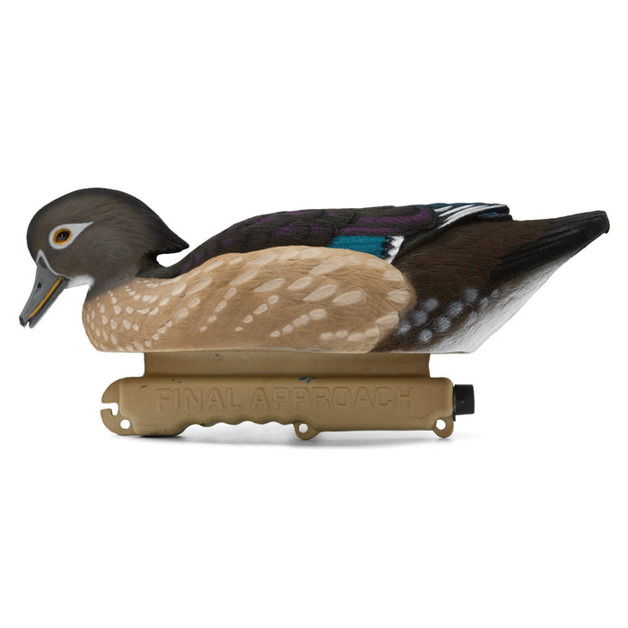 Live Fully Flocked Wood Ducks, 6 Pack