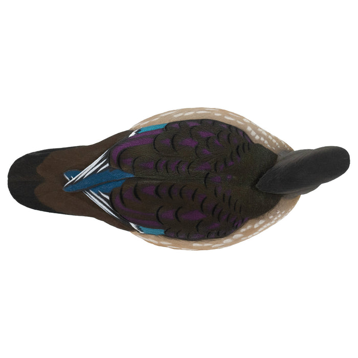 Live Fully Flocked Wood Ducks, 6 Pack