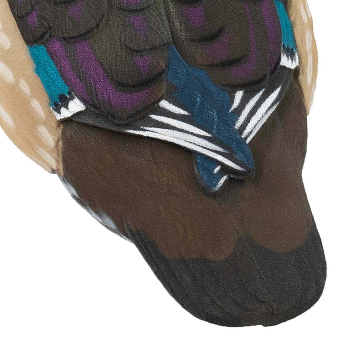 Live Fully Flocked Wood Ducks, 6 Pack