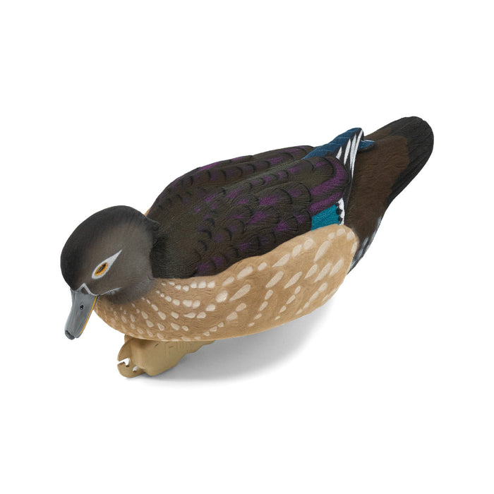 Live Fully Flocked Wood Ducks, 6 Pack