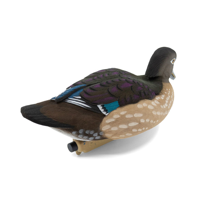 Live Fully Flocked Wood Ducks, 6 Pack
