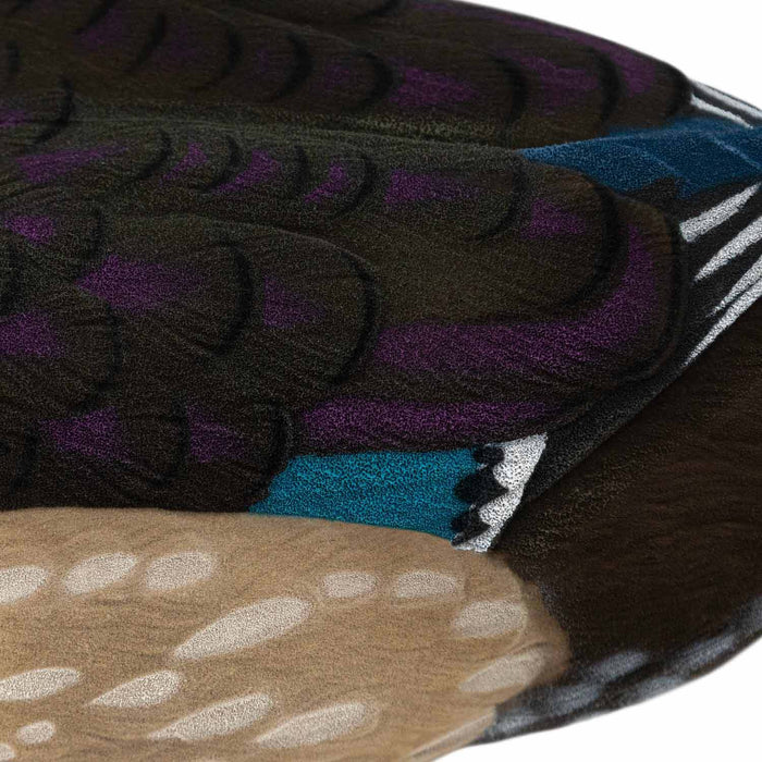 Live Fully Flocked Wood Ducks, 6 Pack