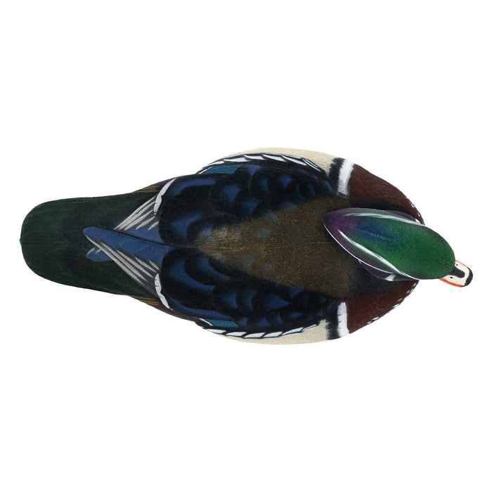 Live Fully Flocked Wood Ducks, 6 Pack