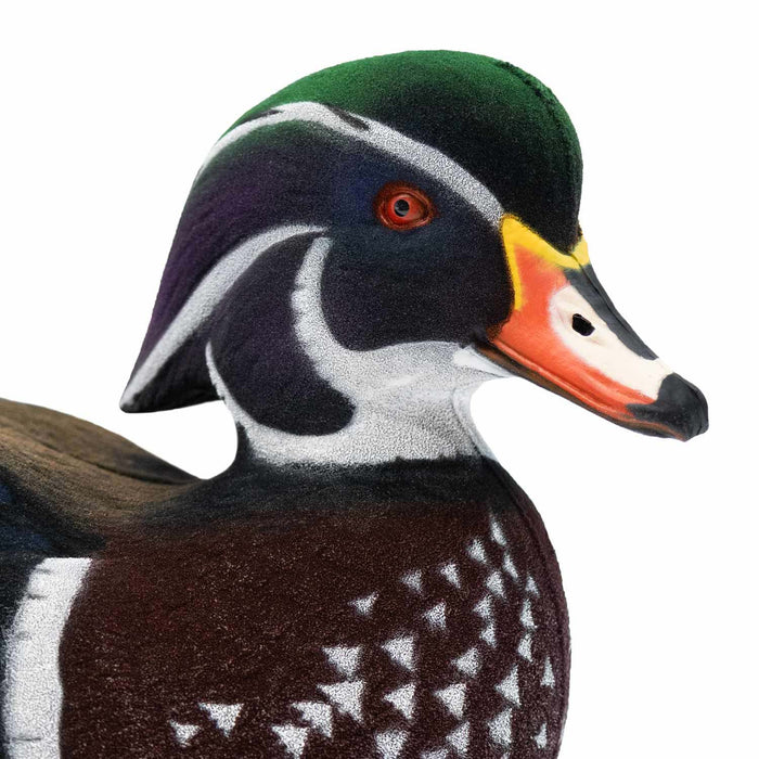 Live Fully Flocked Wood Ducks, 6 Pack