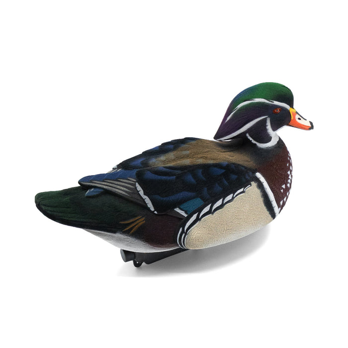 Live Fully Flocked Wood Ducks, 6 Pack