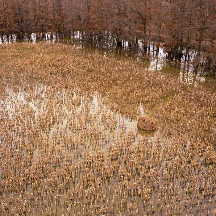 Fast Strike Complete 2 Arm Blind - 39.5" Stakes