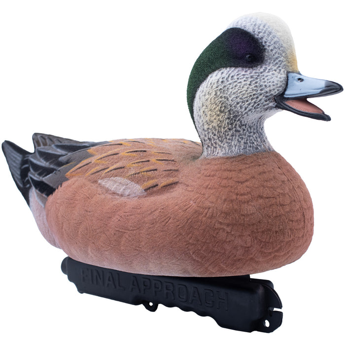 Live Fully Flocked Wigeon Floating Duck Decoys, 6 Pack