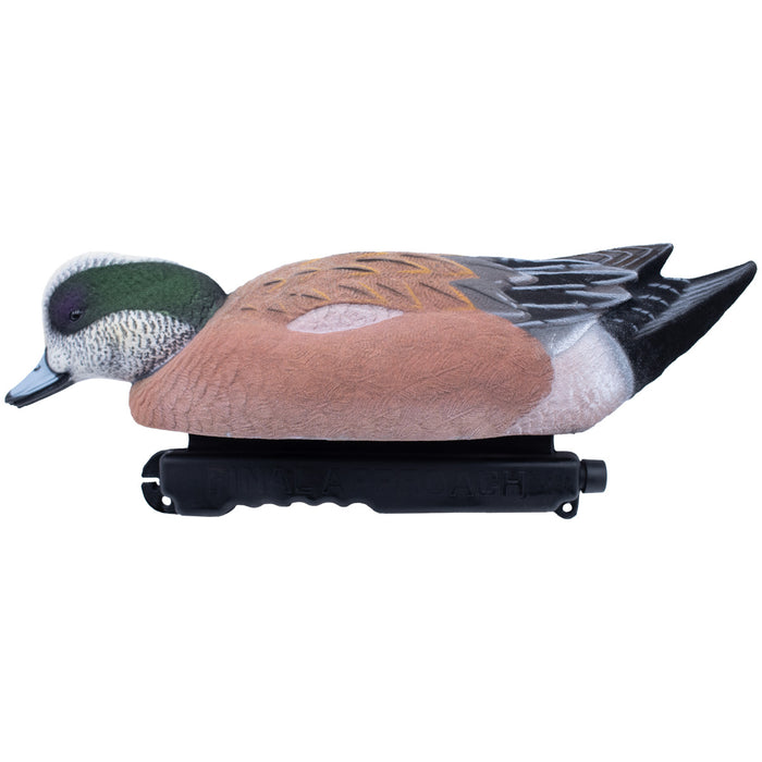 Live Fully Flocked Wigeon Floating Duck Decoys, 6 Pack