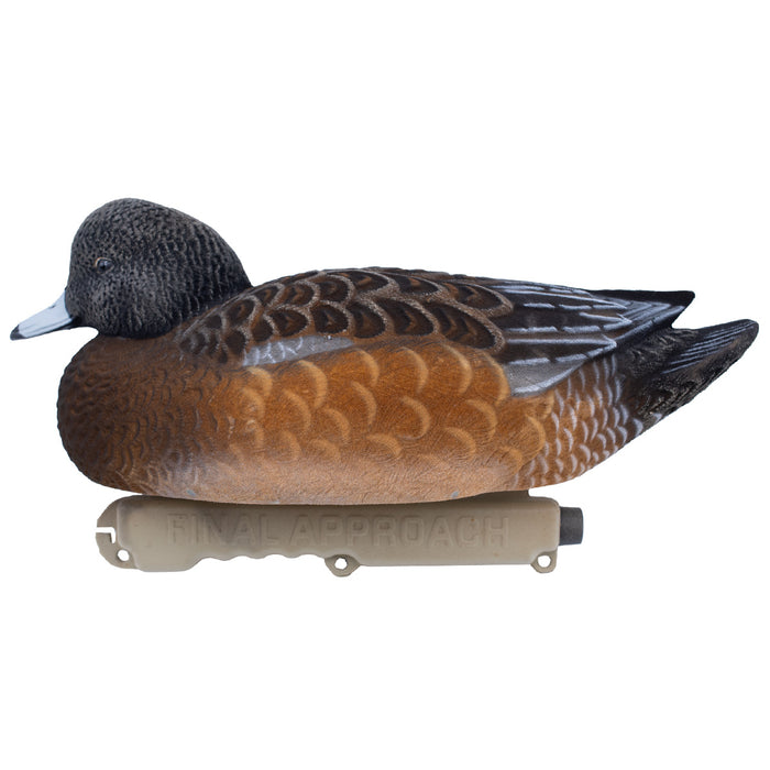 Live Fully Flocked Wigeon Floating Duck Decoys, 6 Pack