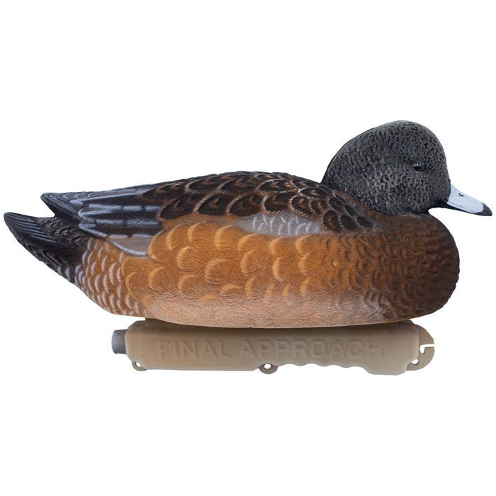 Live Fully Flocked Wigeon Floating Duck Decoys, 6 Pack