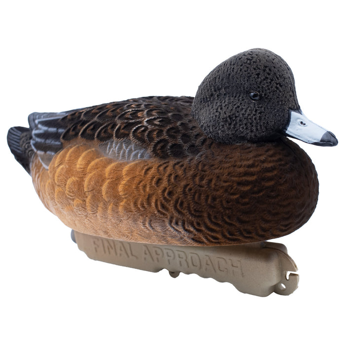 Live Fully Flocked Wigeon Floating Duck Decoys, 6 Pack