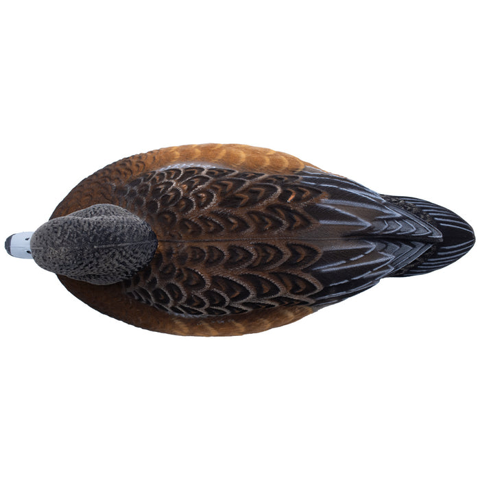 Live Fully Flocked Wigeon Floating Duck Decoys, 6 Pack