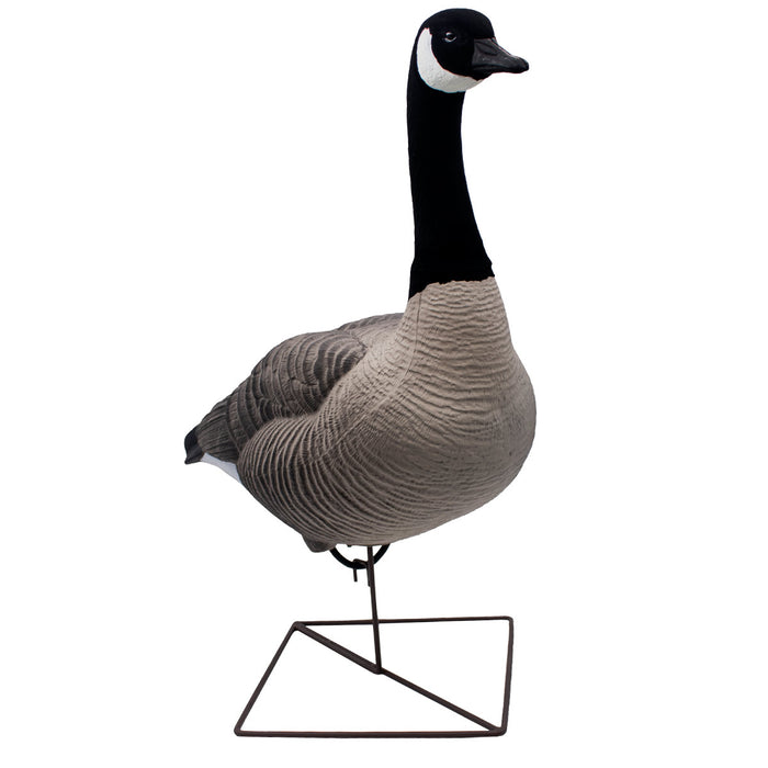 HD Full Body Honker Decoys - 6 Pack