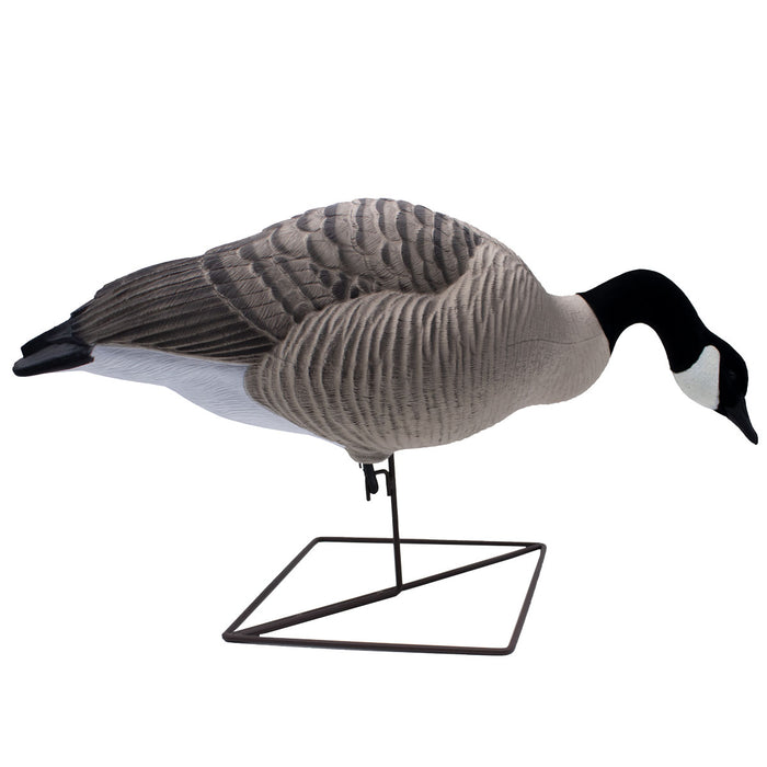 HD Full Body Honker Decoys - 6 Pack