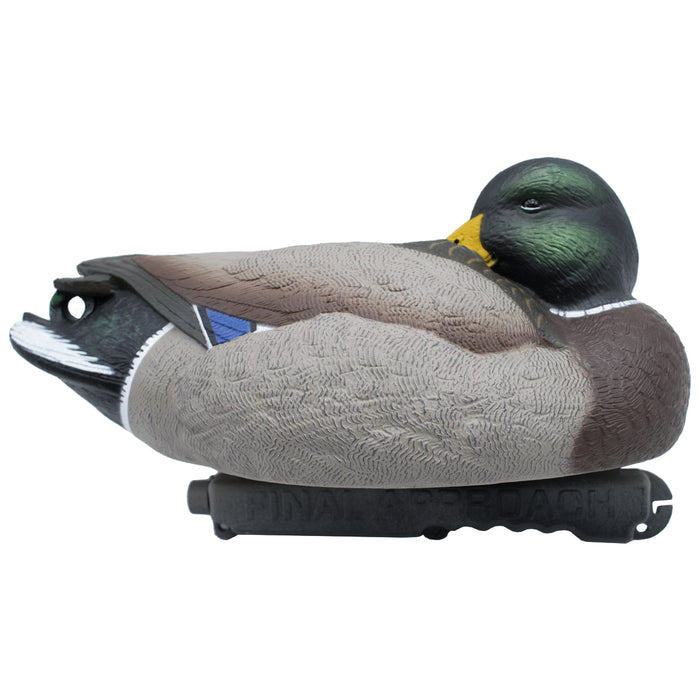 LIVE Floating Mallard Sleeper Preener Duck Decoys - 6 Pack