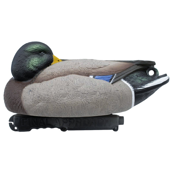 LIVE Floating Mallard Sleeper Preener Duck Decoys - 6 Pack