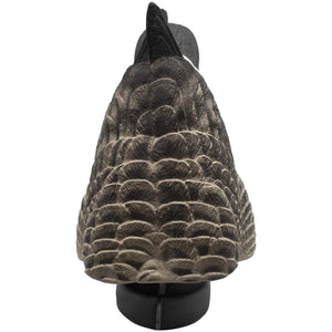 Live Canada Goose Butts - 2 Pack