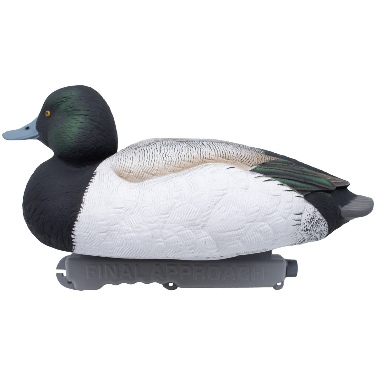 LIVE Foam Filled Drake Diver Duck Decoys, 12 Pack | Final Approach