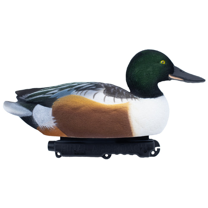 Live Fully Flocked Northern Shovelers Floating Duck Decoys, 6 Pack