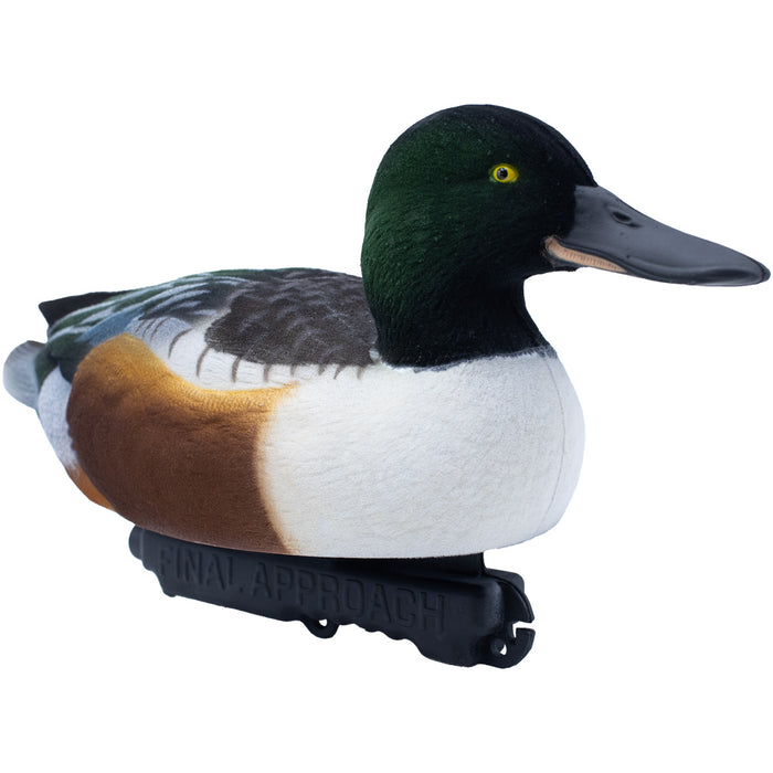 Live Fully Flocked Northern Shovelers Floating Duck Decoys, 6 Pack