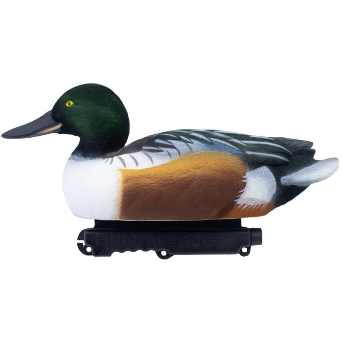 Live Fully Flocked Northern Shovelers Floating Duck Decoys, 6 Pack