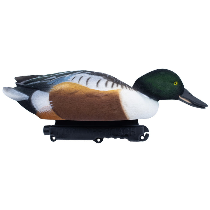 Live Fully Flocked Northern Shovelers Floating Duck Decoys, 6 Pack