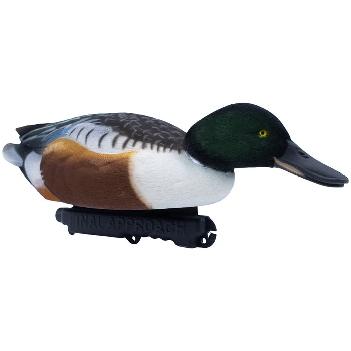 Live Fully Flocked Northern Shovelers Floating Duck Decoys, 6 Pack