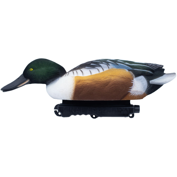 Live Fully Flocked Northern Shovelers Floating Duck Decoys, 6 Pack