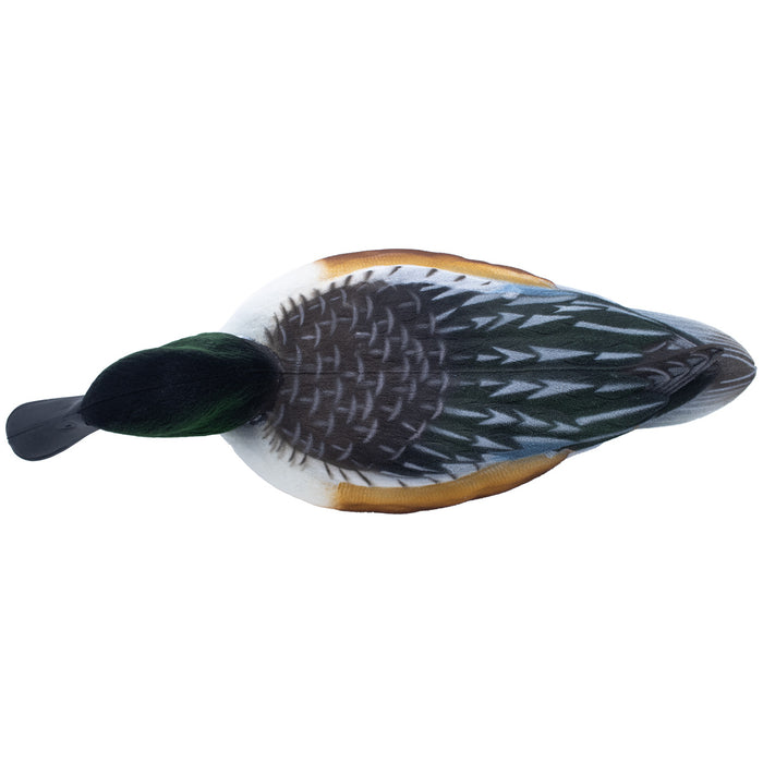 Live Fully Flocked Northern Shovelers Floating Duck Decoys, 6 Pack