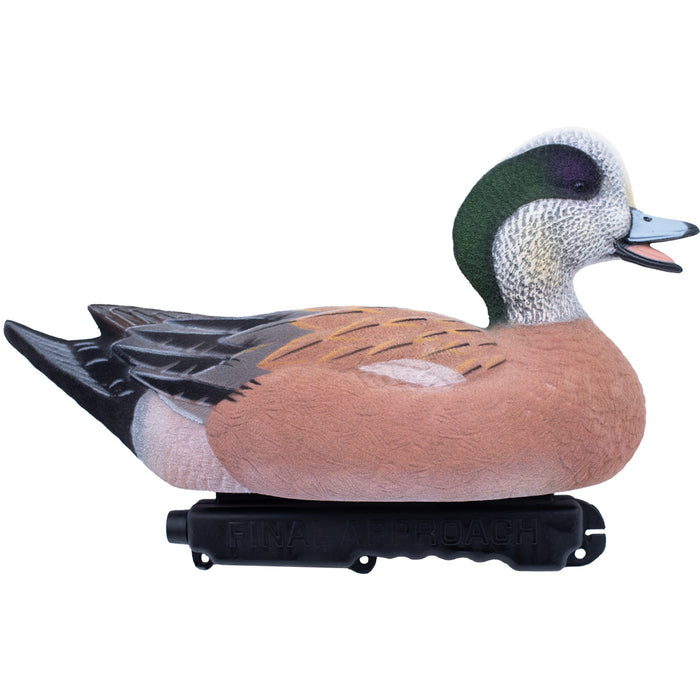 Live Fully Flocked Wigeon Floating Duck Decoys, 6 Pack