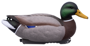 HD Floating Mallards