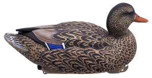 HD Floating Mallards