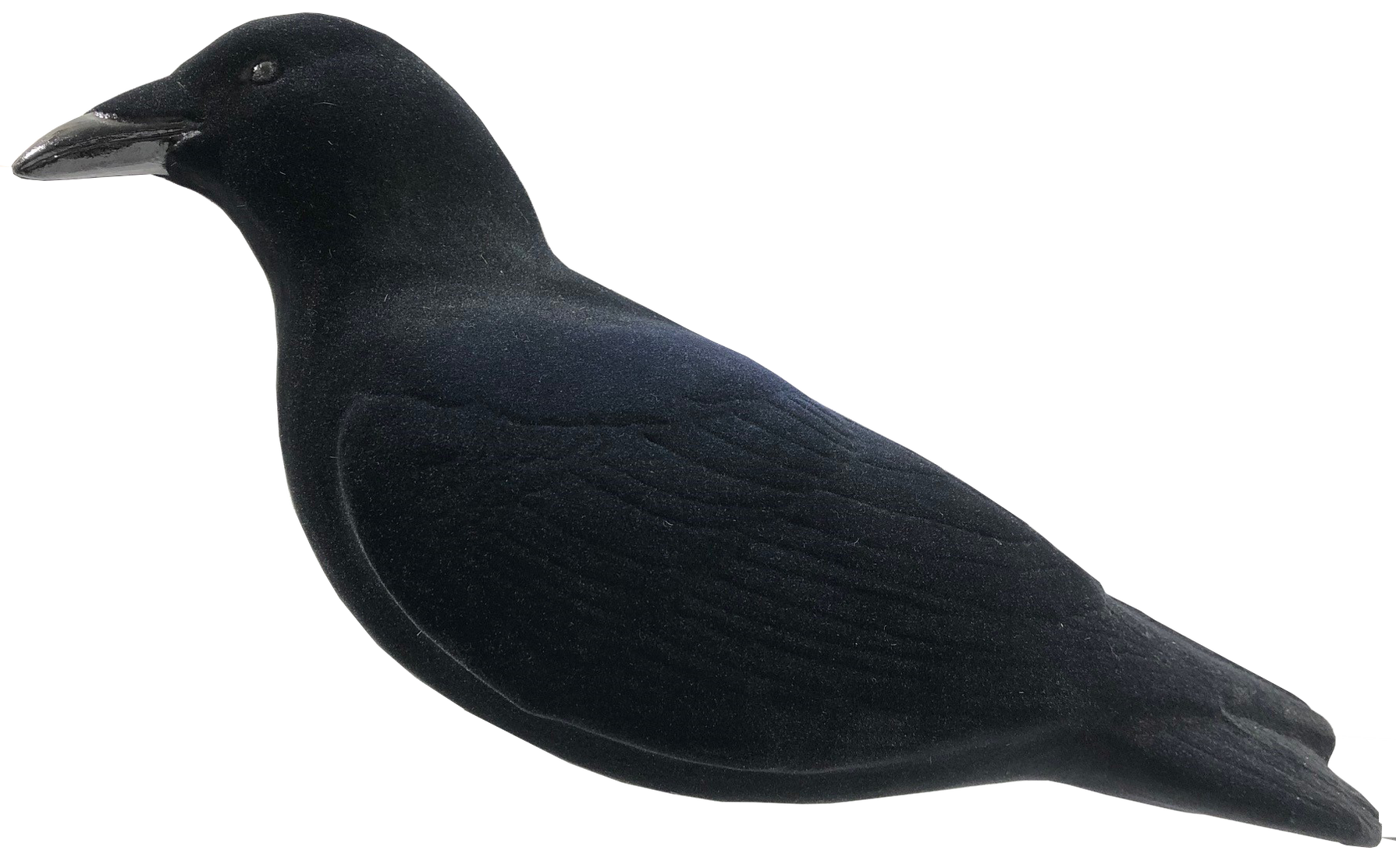 Fully Flocked Crows Decoy Final Approach Waterfowl