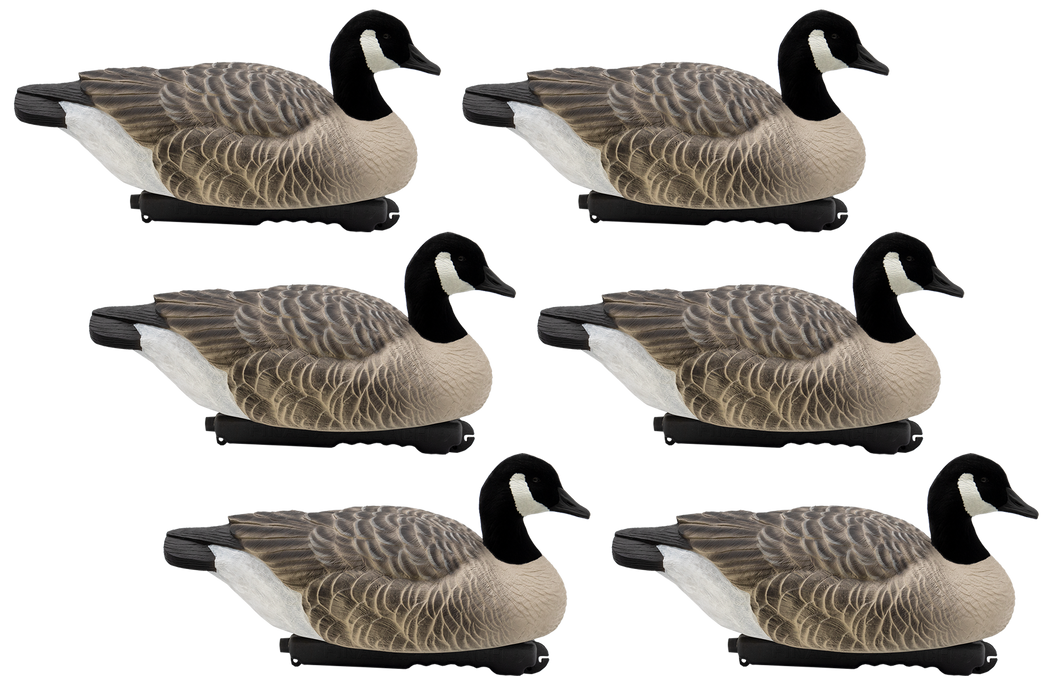 Last Pass Floating Canada Geese with Flocked Heads - 6 Pack