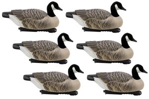 Last Pass Floating Canada Geese with Flocked Heads