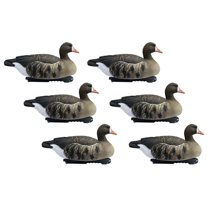 Last Pass Floating Specklebelly Geese - 6 Pack