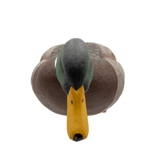 Live Full Body Mallards