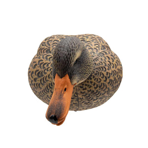 Live Full Body Mallards