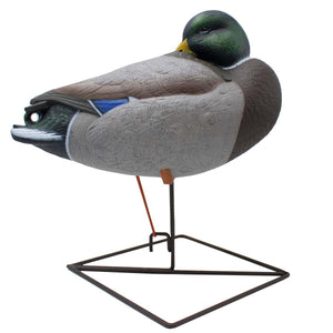 Live Full Body Mallards Rester/Sleeper Decoys