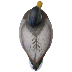 Live Full Body Mallards Rester/Sleeper Decoys
