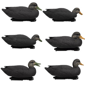 HD Black Duck Floaters