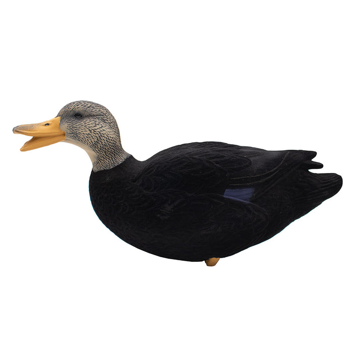 LIVE Flocked Full Body Black Duck Decoys