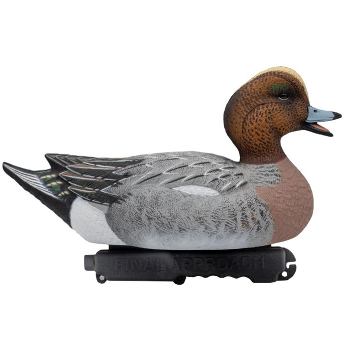 LIVE Eurasian Wigeon Decoys - 6 Pack