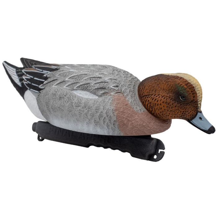 LIVE Eurasian Wigeon Decoys - 6 Pack