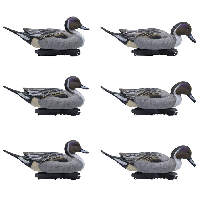 LIVE Pintail Floaters - 6 Pack