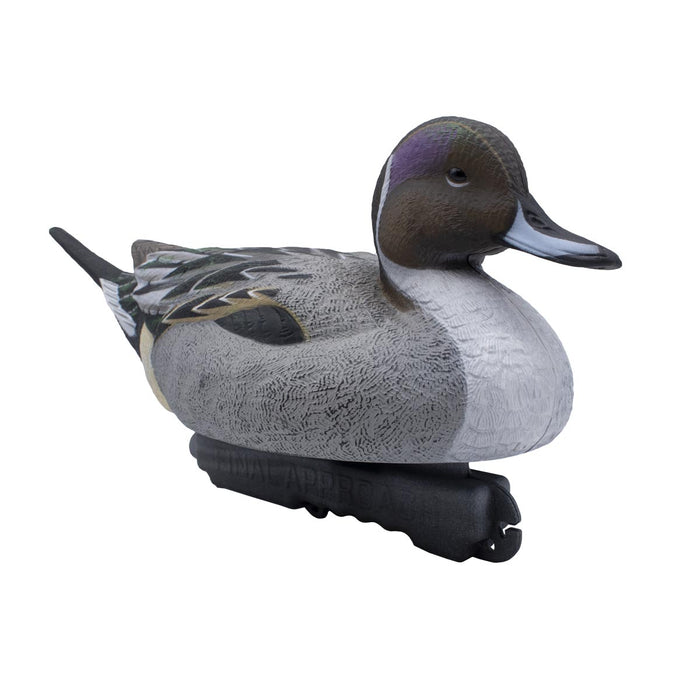 LIVE Pintail Floaters - 6 Pack